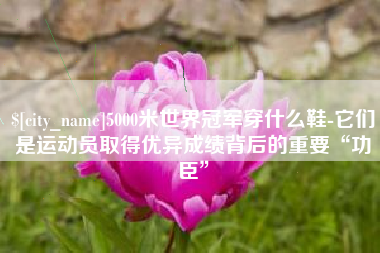 吐鲁番5000米世界冠军穿什么鞋-它们是运动员取得优异成绩背后的重要“功臣”