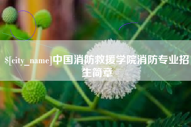吐鲁番中国消防救援学院消防专业招生简章