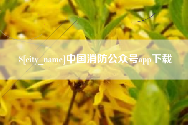 吐鲁番中国消防公众号app下载