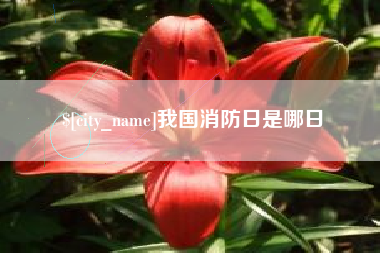 吐鲁番我国消防日是哪日