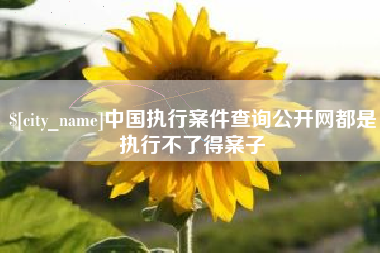 吐鲁番中国执行案件查询公开网都是执行不了得案子