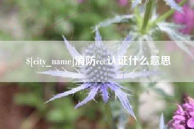吐鲁番消防ccc认证什么意思