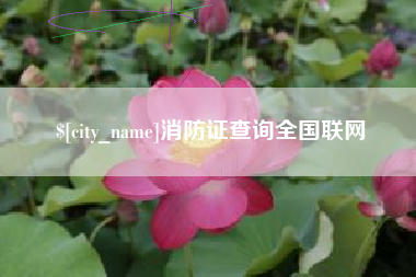 吐鲁番消防证查询全国联网