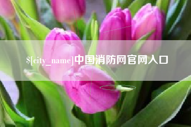 吐鲁番中国消防网官网入口