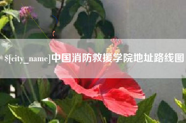 吐鲁番中国消防救援学院地址路线图