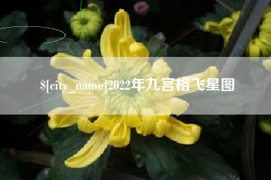 吐鲁番2022年九宫格飞星图