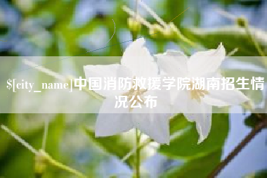 吐鲁番中国消防救援学院湖南招生情况公布