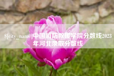 吐鲁番中国消防救援学院分数线2023年河北录取分数线