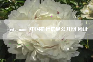 吐鲁番中国执行信息公开网 网址