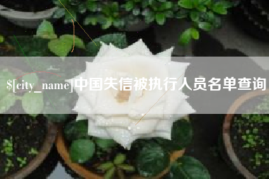 吐鲁番中国失信被执行人员名单查询