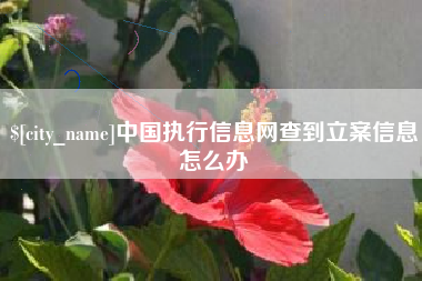 吐鲁番中国执行信息网查到立案信息怎么办