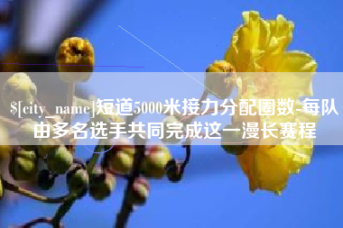 吐鲁番短道5000米接力分配圈数-每队由多名选手共同完成这一漫长赛程