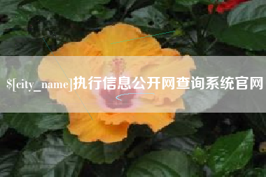 吐鲁番执行信息公开网查询系统官网