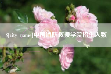 吐鲁番中国消防救援学院招生人数