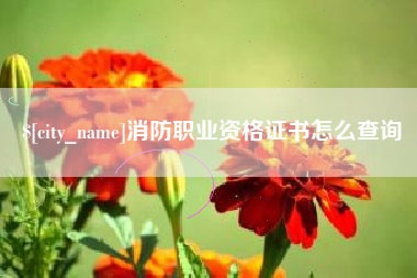 吐鲁番消防职业资格证书怎么查询