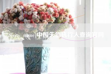 吐鲁番中国失信执行人查询官网
