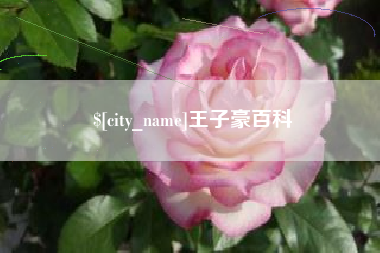 吐鲁番王子豪百科