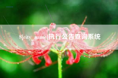 吐鲁番执行公告查询系统