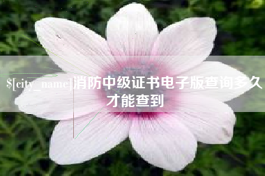 吐鲁番消防中级证书电子版查询多久才能查到