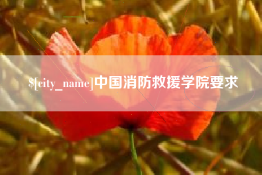 吐鲁番中国消防救援学院要求