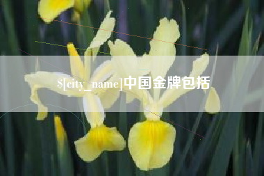 吐鲁番中国金牌包括