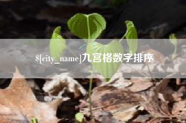 吐鲁番九宫格数字排序