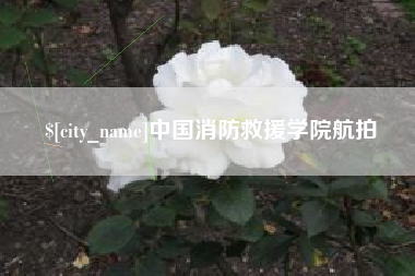 吐鲁番中国消防救援学院航拍
