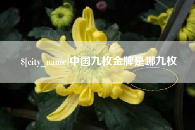 吐鲁番中国九枚金牌是哪九枚