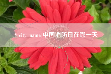 吐鲁番中国消防日在哪一天