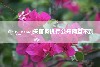 吐鲁番失信被执行公开网查不到