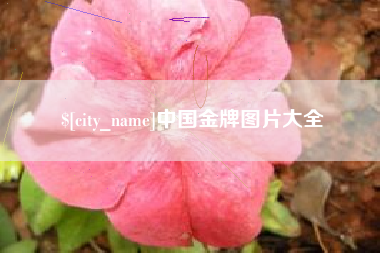 吐鲁番中国金牌图片大全