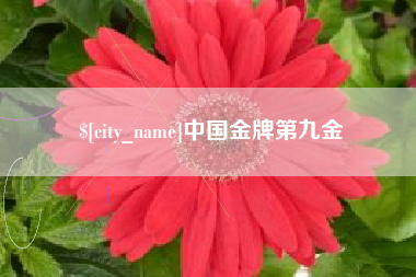 吐鲁番中国金牌第九金