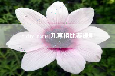吐鲁番九宫格比赛规则