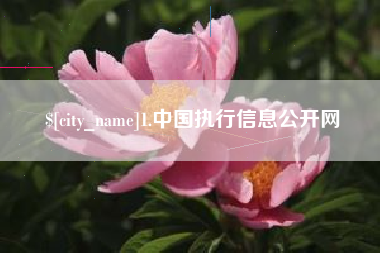 吐鲁番1.中国执行信息公开网