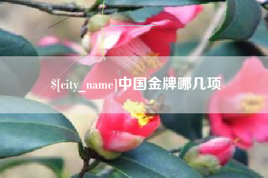 吐鲁番中国金牌哪几项