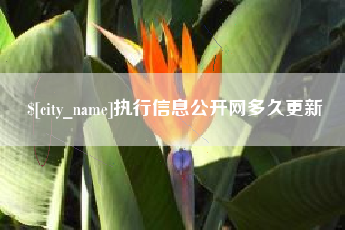 吐鲁番执行信息公开网多久更新