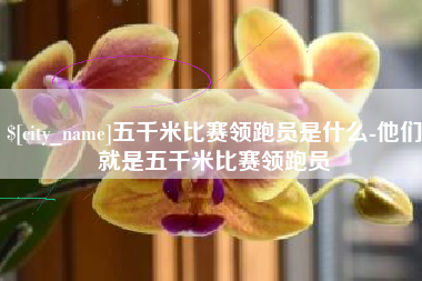 吐鲁番五千米比赛领跑员是什么-他们就是五千米比赛领跑员