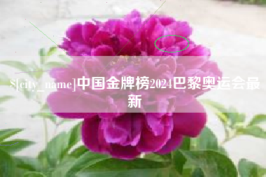 吐鲁番中国金牌榜2024巴黎奥运会最新