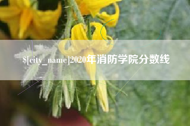 吐鲁番2020年消防学院分数线