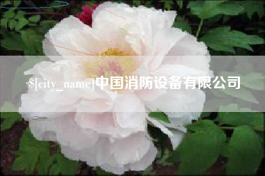 吐鲁番中国消防设备有限公司