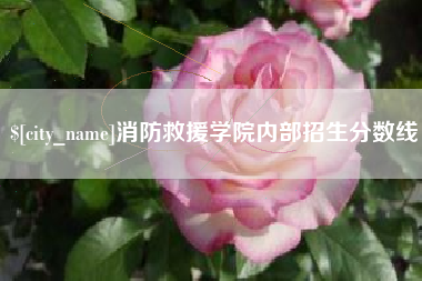 吐鲁番消防救援学院内部招生分数线