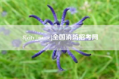 吐鲁番全国消防招考网