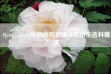 吐鲁番中国消防救援学院山东选科要求