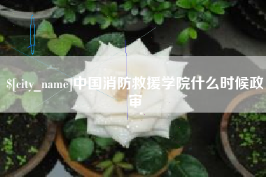 吐鲁番中国消防救援学院什么时候政审