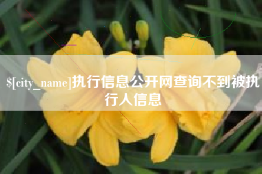 吐鲁番执行信息公开网查询不到被执行人信息