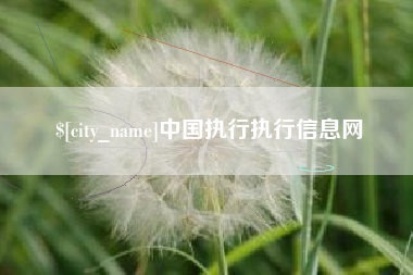 吐鲁番中国执行执行信息网