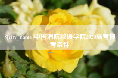 吐鲁番中国消防救援学院2020高考报考条件