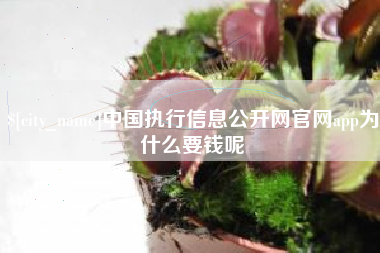 吐鲁番中国执行信息公开网官网app为什么要钱呢