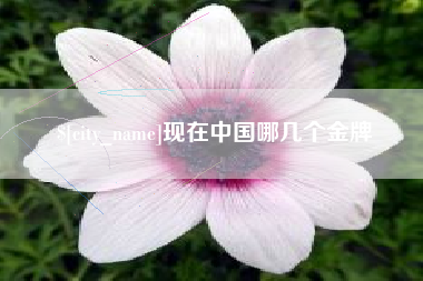 吐鲁番现在中国哪几个金牌