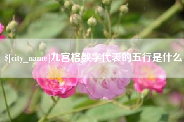 吐鲁番九宫格数字代表的五行是什么
